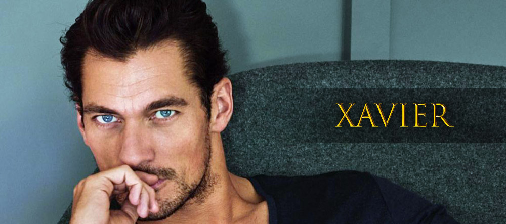 Introduction of Xavier, Duke of Camerondale