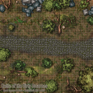 Battlemap for this encounter
