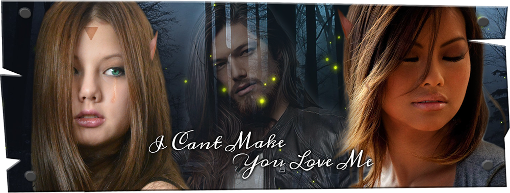 I Can't Make You Love Me Banner