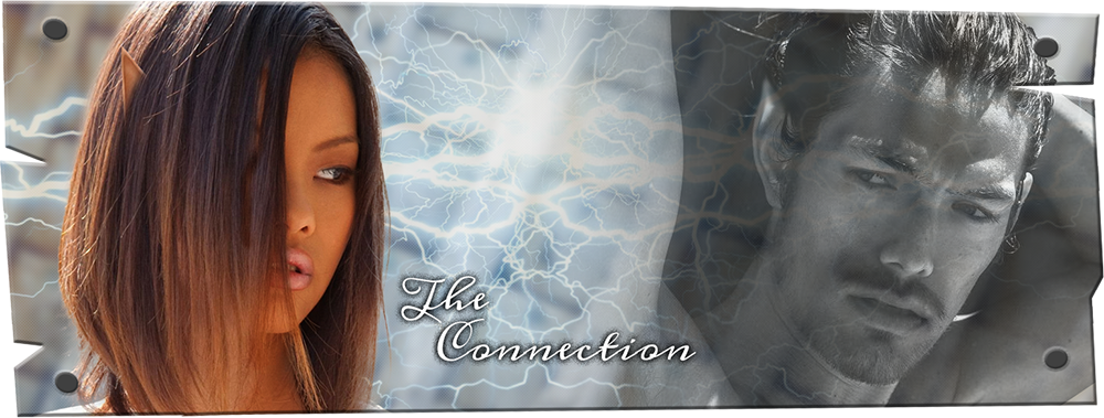 The Connection Banner