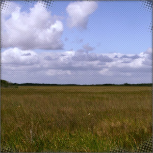 Brushlands in the Eastern part of Legon