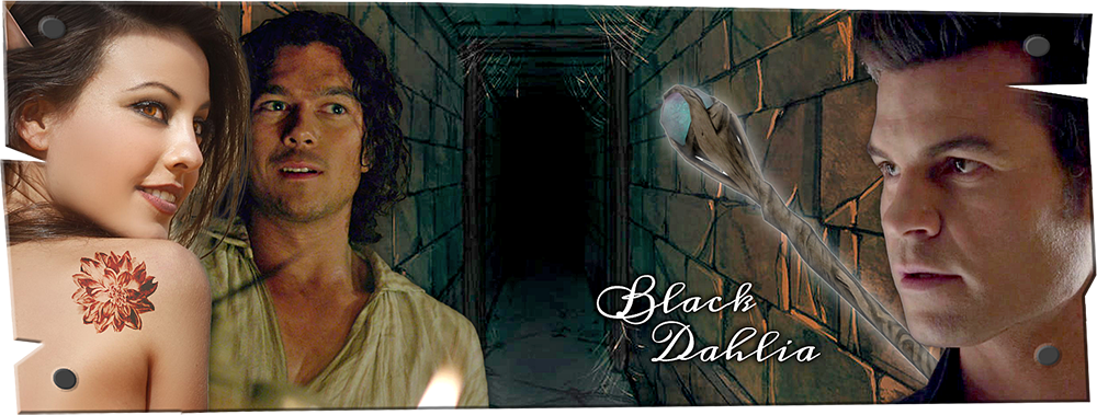 Black Dahlia Banner