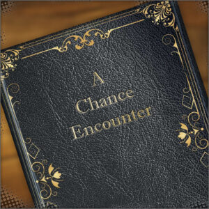 A Chance Encounter book